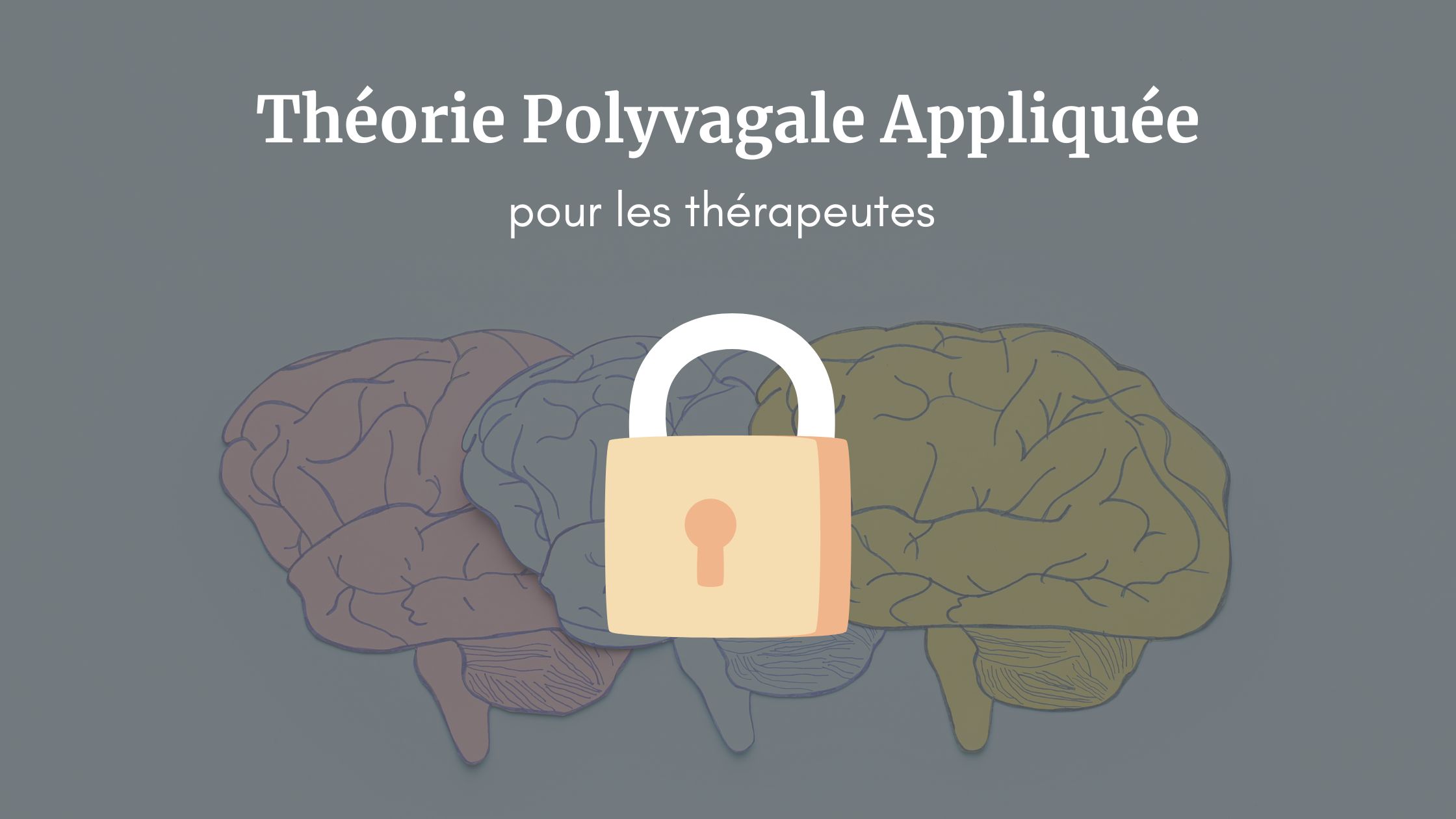 Comment Appliquer La Th Orie Polyvagale Avec Les Patients En Cabinet